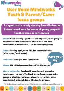 Flyer about the Mindworks Focus Groups
